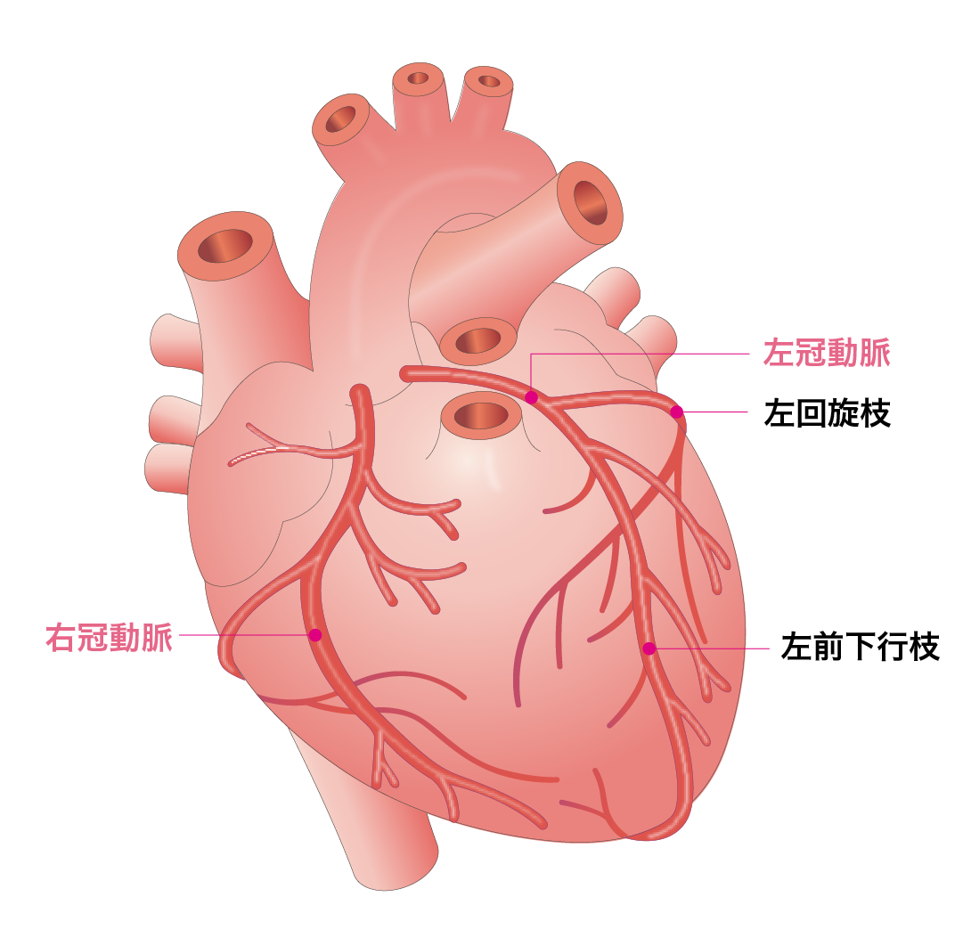 疾患 心 虚 血性